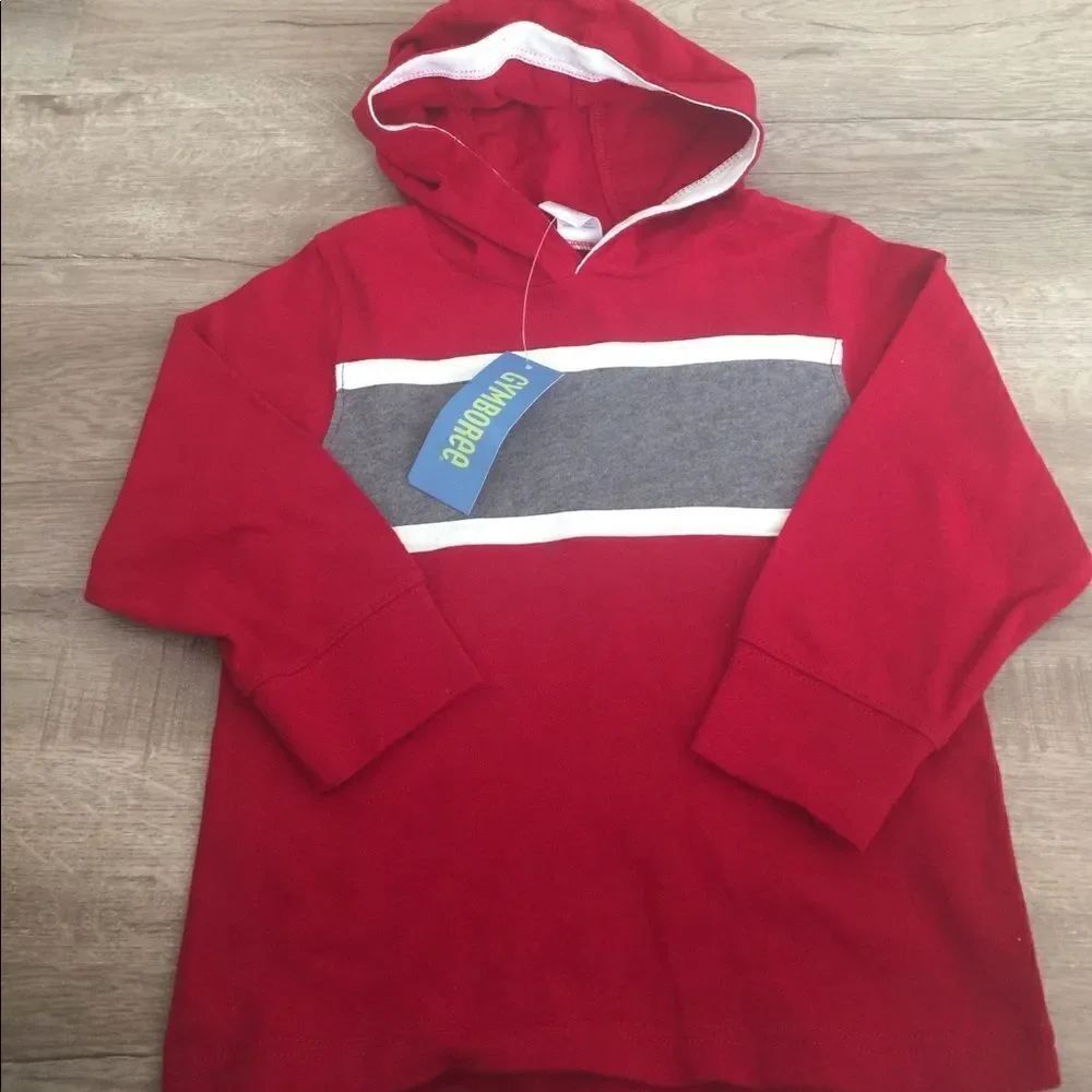 🎉1 hr sale 🎉Gymboree sweater Hoodie
